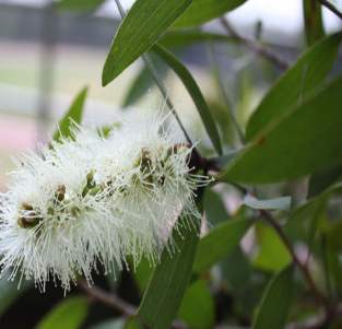 开云网页版在线登录网站
精油批发 开云网页版在线登录网站
精油批发