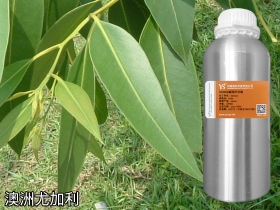 澳洲尤加利精油桉树精油YS开云网页版在线登录网站
源头批发