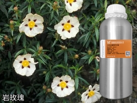 陕西YS岩玫瑰油 | 急救守护天使 强效止血 愈合创伤 不可或缺