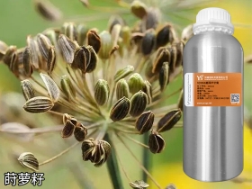 YS开云网页版在线登录网站
莳萝籽精油土茴香油