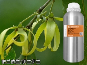 YS开云网页版在线登录网站
依兰精油天然精油源头厂家源头直采更低价格