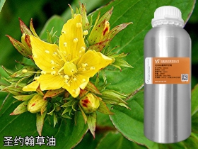 圣约翰草油植物油浸泡油原料批发厂家OEM