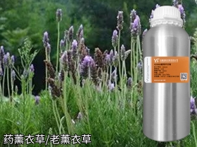 YS开云网页版在线登录网站
药薰衣草精油天然精油源头源头批发无中间环节