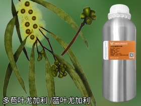 YS开云网页版在线登录网站
多苞叶尤加利精油精油批发网直接供货更低价格
