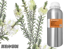 茶树精油尼泊尔产地YS开云网页版在线登录网站
源料批发商
