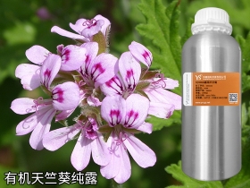 陕西YS开云网页版在线登录网站
有机天竺葵纯露批发厂家代加工oem
