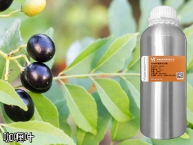 咖喱叶精油原料批发品牌OEM