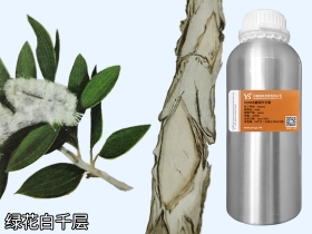 陕西YS绿花白千层油 | 是皮肤与粘膜的守护神，还能制作漱口水，你知道吗？