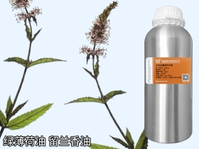留兰香精油绿薄荷油YS开云网页版在线登录网站
批发