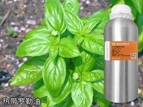 陕西YS热带罗勒油 | 带八角香气的香水常用原料，也是消炎止痛抑菌能手