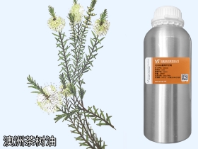 澳洲茶树精油茶树油开云网页版在线登录网站
国际YS