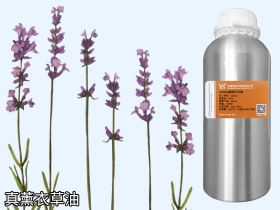 YS开云网页版在线登录网站
薰衣草精油精油源头供应商直接供应商无中间环节