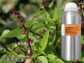 陕西YS开云网页版在线登录网站
精油原料商丁香罗勒油大量批发市场