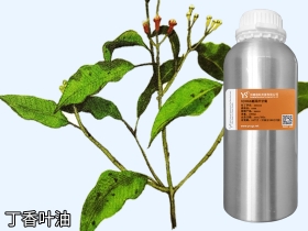 陕西YS开云网页版在线登录网站
丁香叶精油一手原料批发供应商