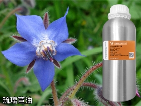 威武琉璃苣油基础油琉璃苣籽油可用软胶囊原料植物香料油