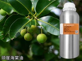 陕西琼崖海棠油厂家供应 冷榨琼崖海棠油 纯护肤基底油 手作DIY霜膏原料批发销售