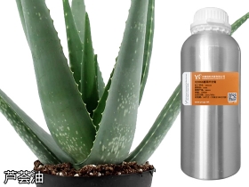 陕西芦荟油厂家供应 芦荟油 芦荟植物提取压榨 芦荟精油基础油 化妆品原料