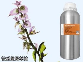 陕西YS快乐鼠尾草油 | 如果能说话，它的口头禅一定是“做人，最重要是开心”