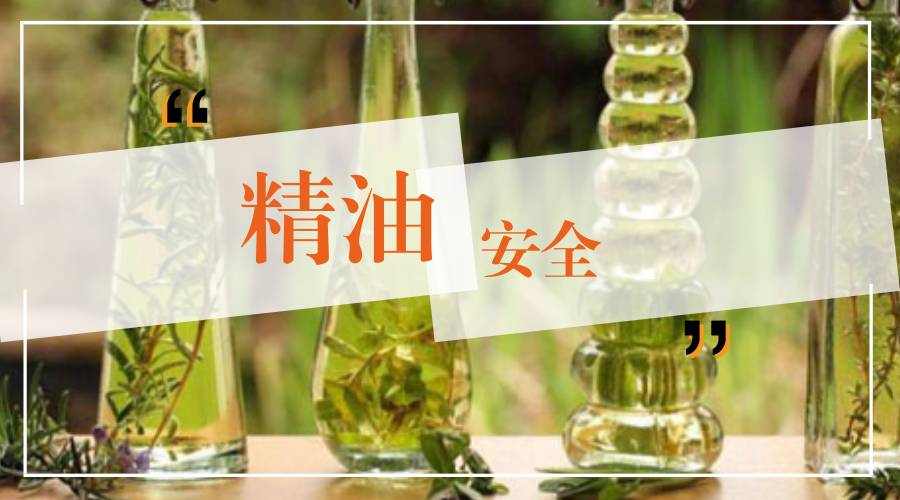 开云网页版在线登录网站
精油批发商