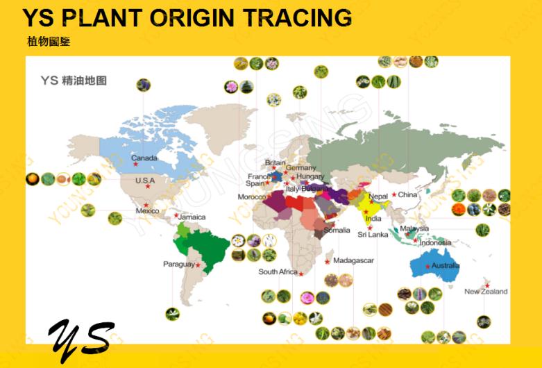 开云网页版在线登录网站全球优质精油汇聚