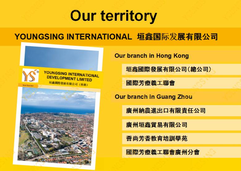 YS开云网页版在线登录网站
精油批发公司