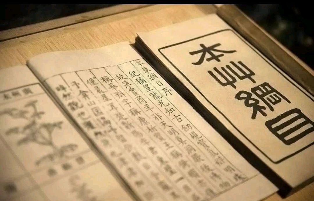 中国特色药材精油青花椒精油YS开云网页版在线登录网站
精油批发