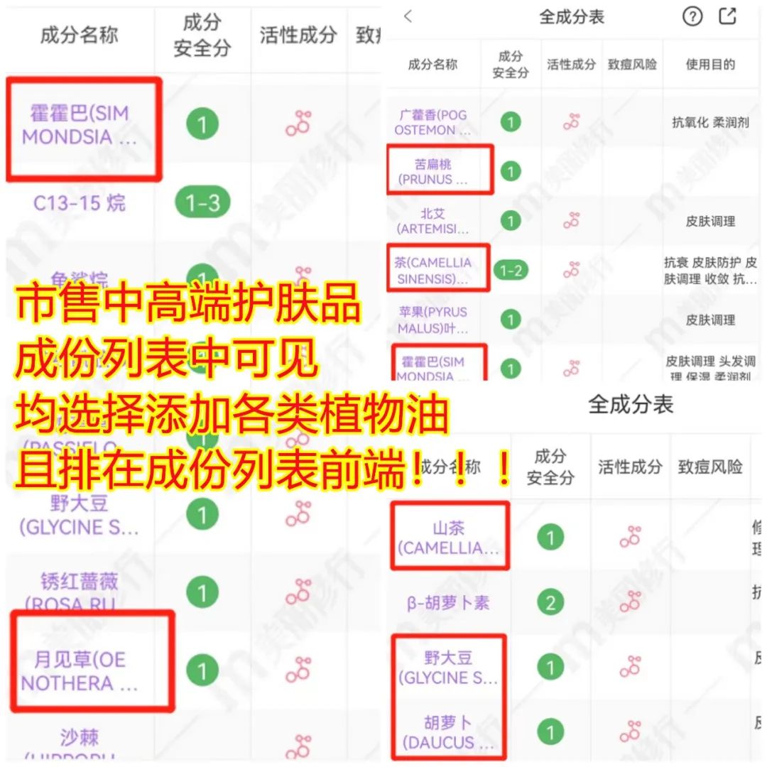 YS开云网页版在线登录网站
植物油原料供应商