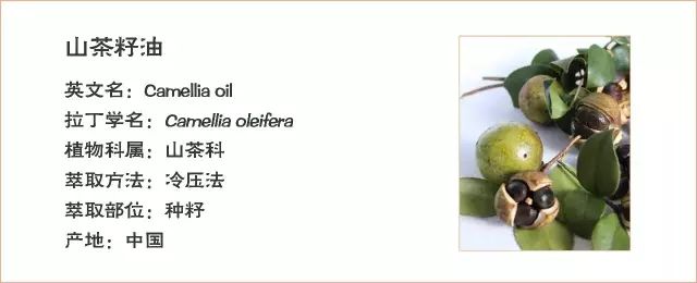 YS开云网页版在线登录网站
芳疗植物油源头厂家