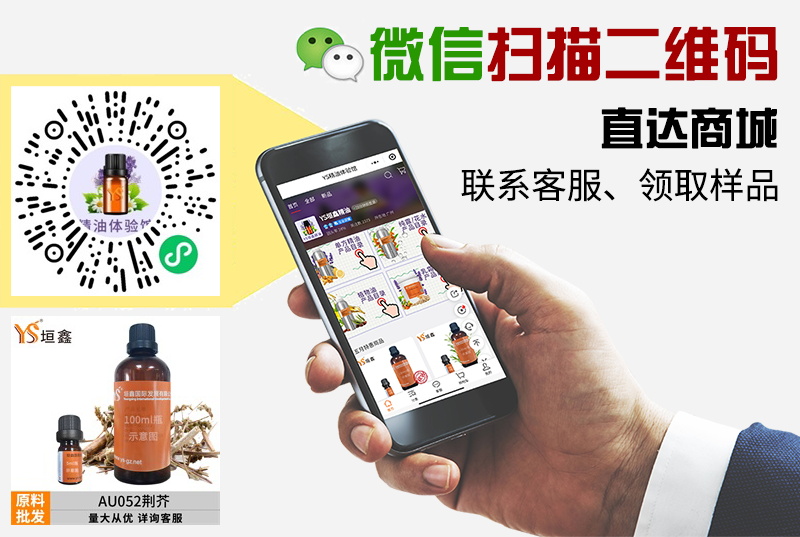 荆芥.JPG